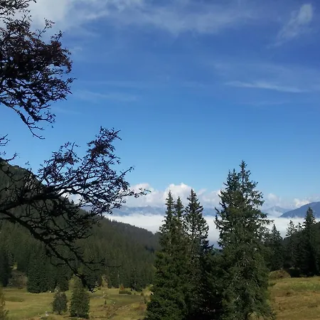 Hämmerle Brand (Vorarlberg)